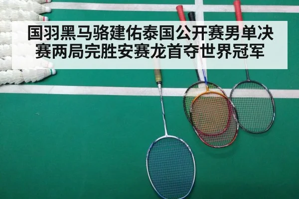 国羽黑马骆建佑泰国公开赛男单决赛两局完胜安赛龙首夺世界冠军